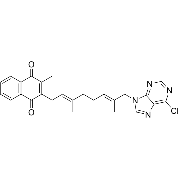 SARS-CoV-2-IN-67